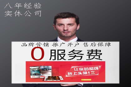 SEM投放策略：成功案例解析